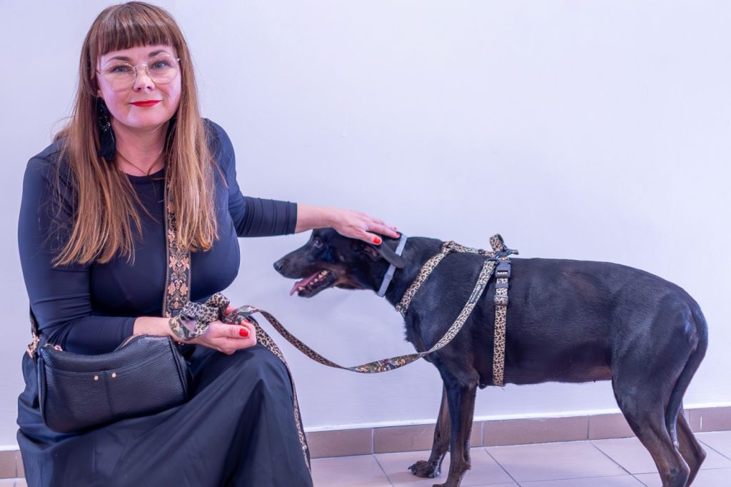 Wernisaż – bioFORMY